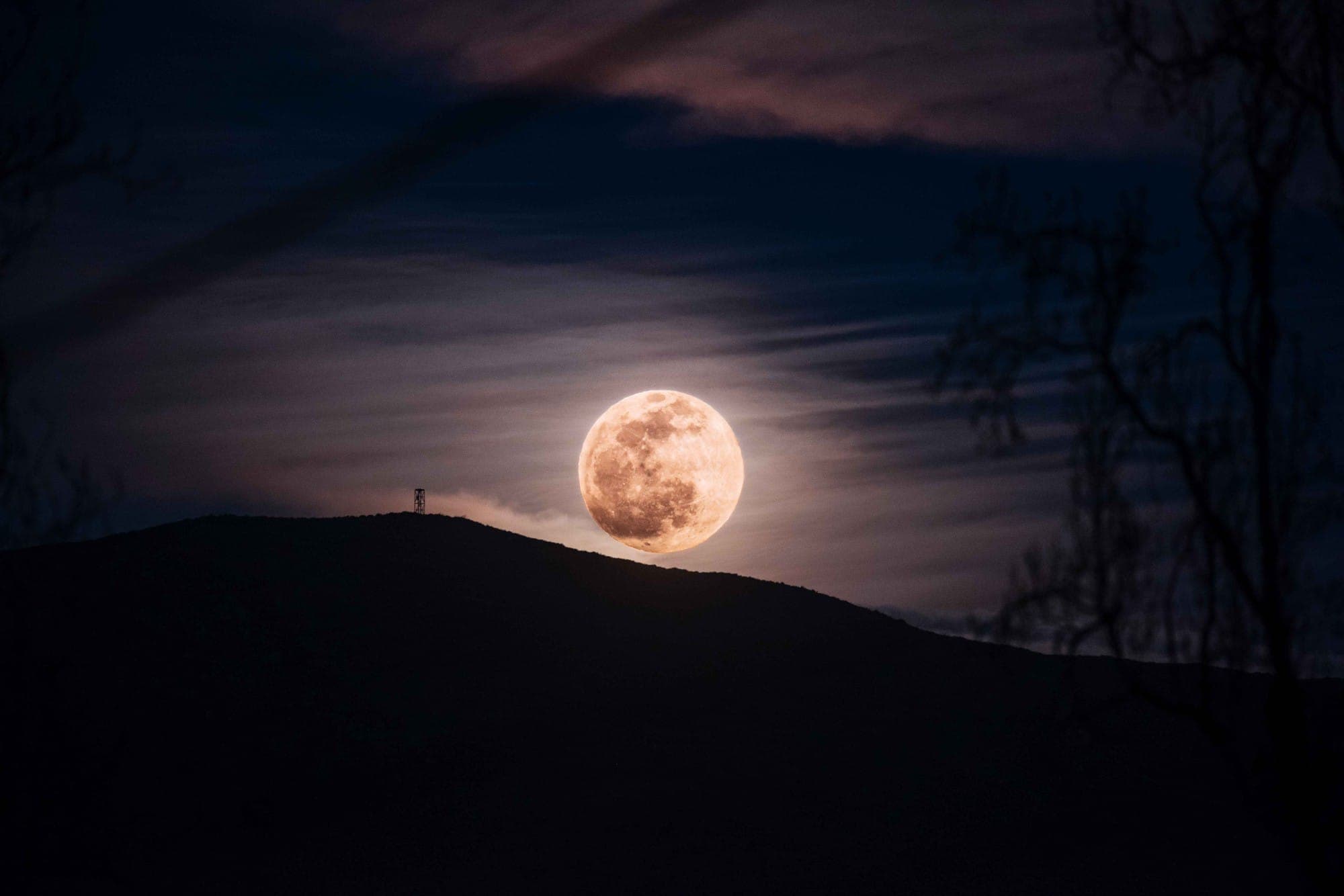 Photograph - 04-05-23-astro-9.JPG