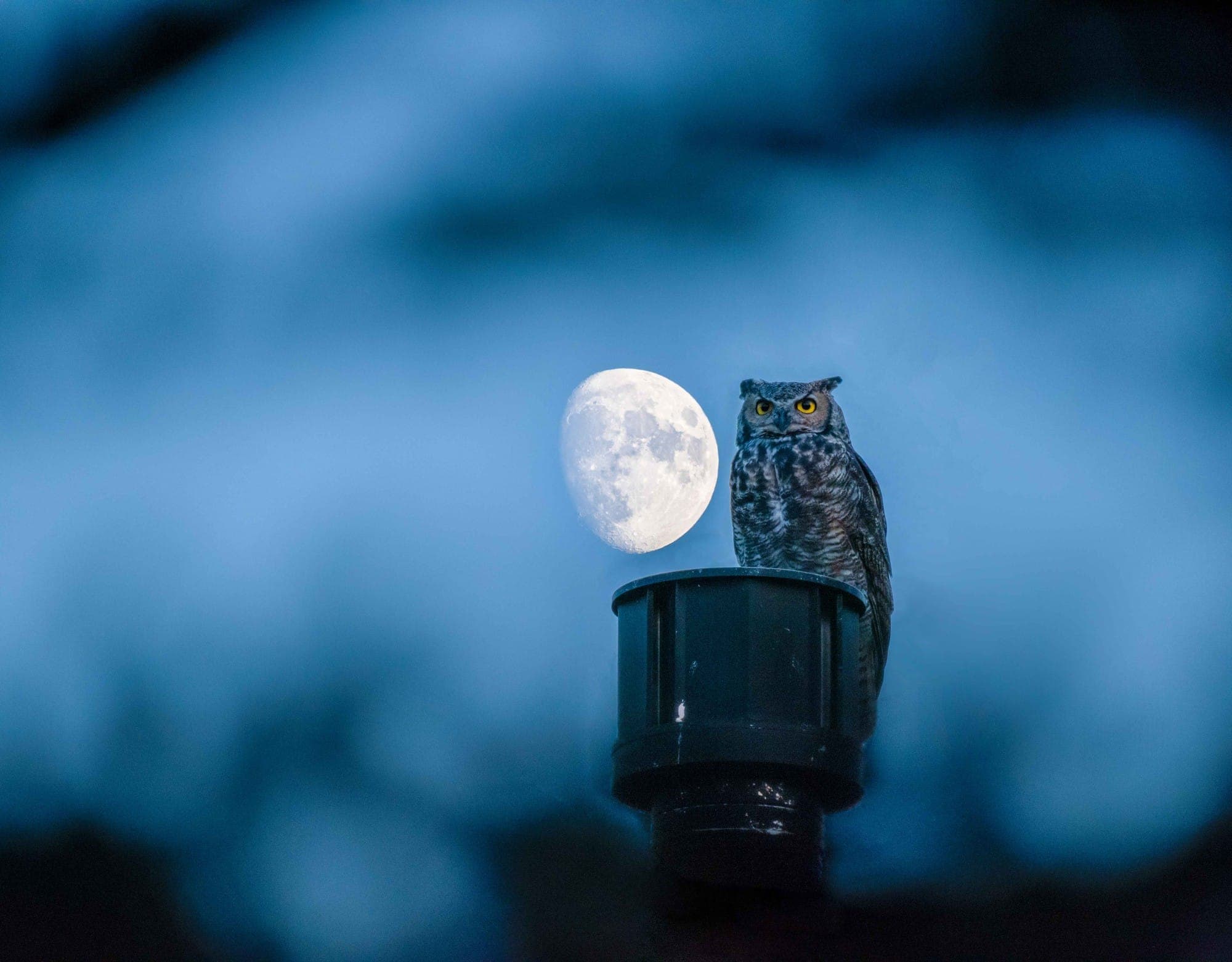 Photograph - 09-06-22-adventure-12.JPG