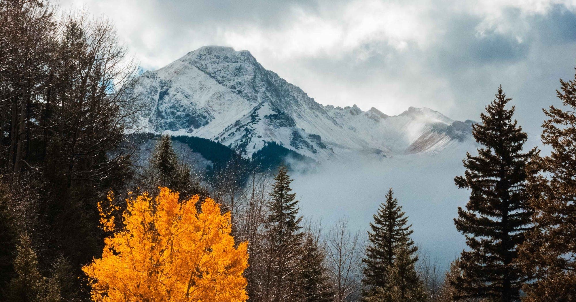 Photograph - 10-11-20-adventure-1.JPG