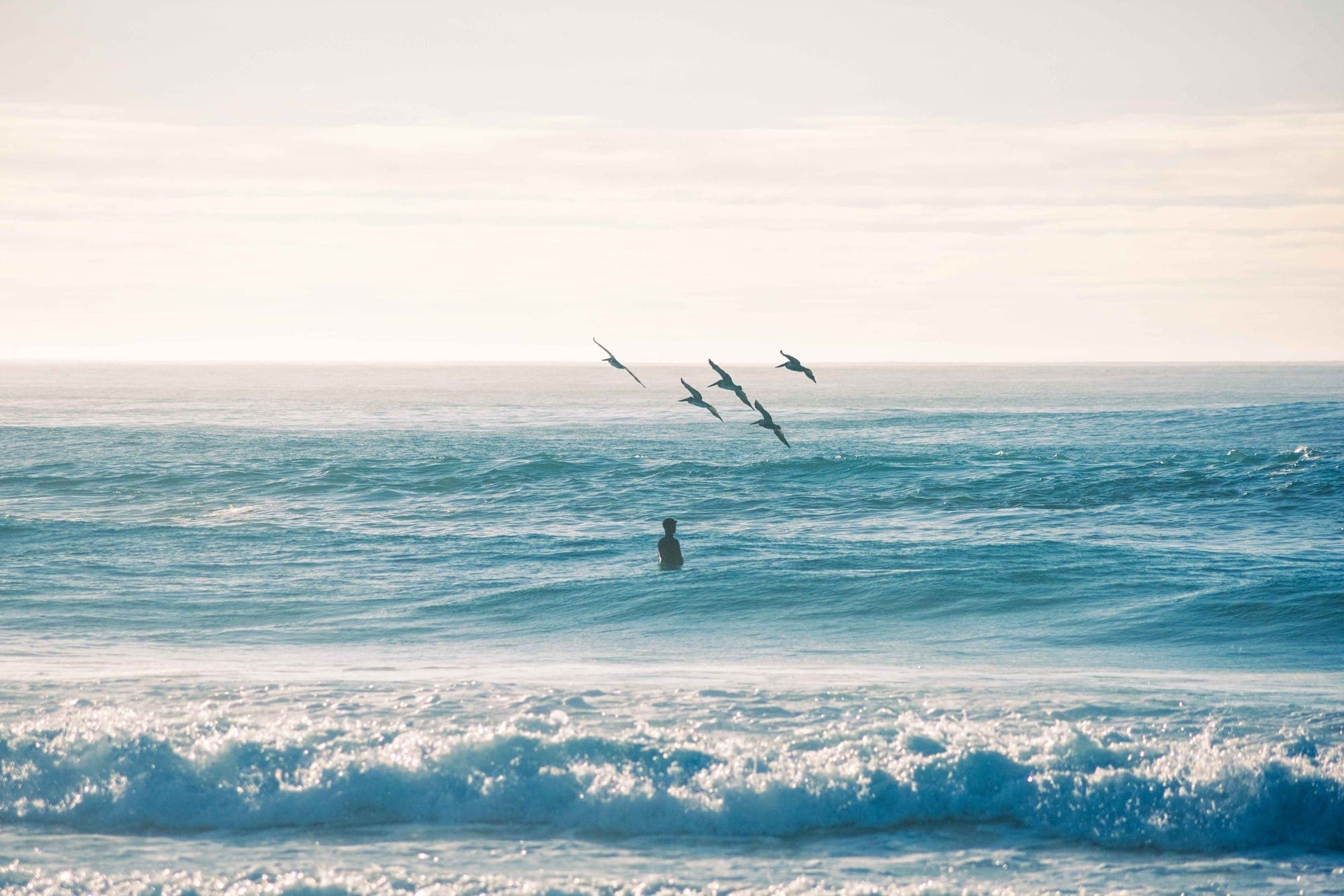 Photograph - 10-21-23-adventure-20.JPG