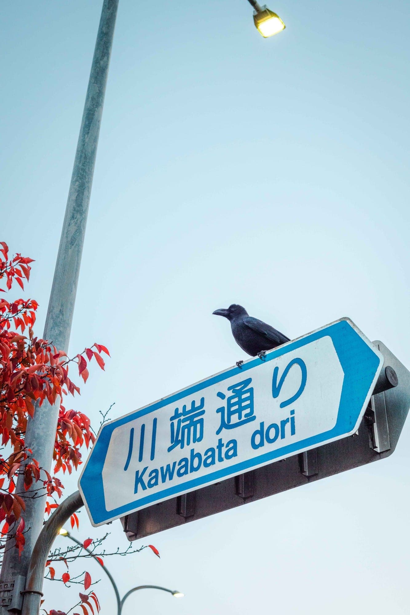 Photograph - 11-15-25-adventure-28.JPG