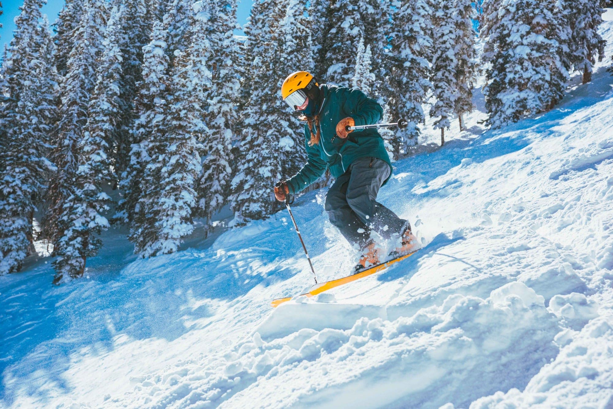 Photograph - 02-21-26-featured-6.JPG