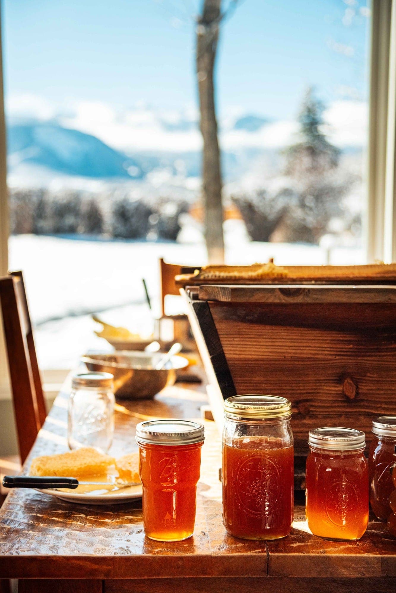 Photograph - 12-01-25-food-19.JPG